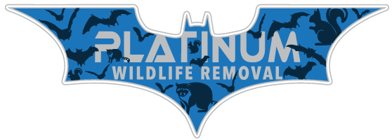 Animal Removal Lawrence County